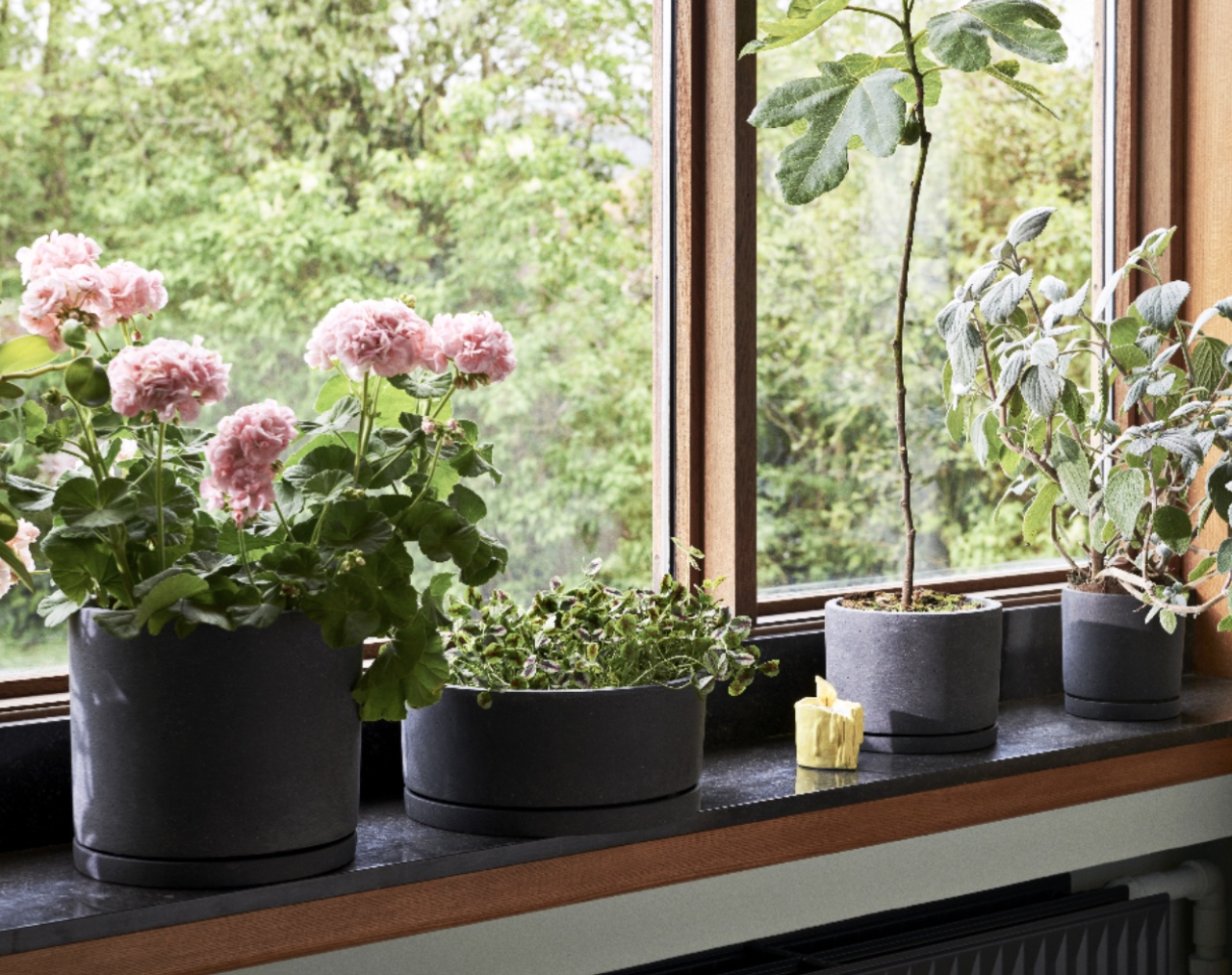 Plant Pot With Saucer Xxl Grey 2nd Floor