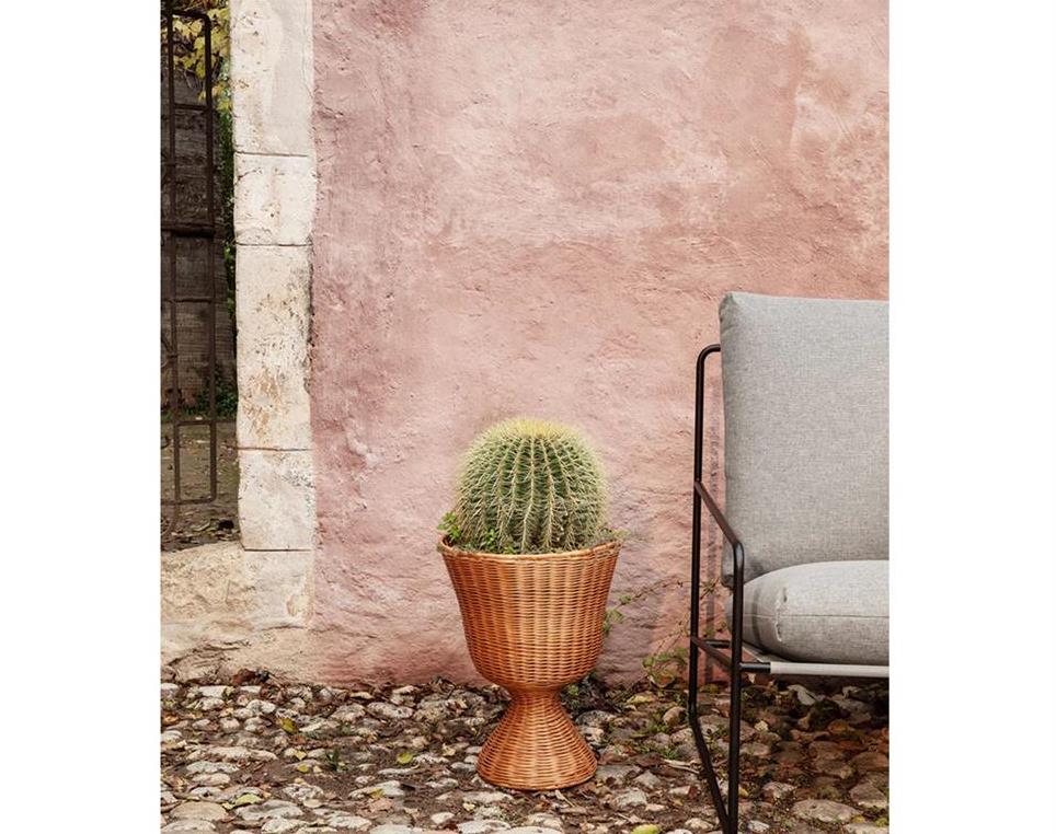 Low plant table deals