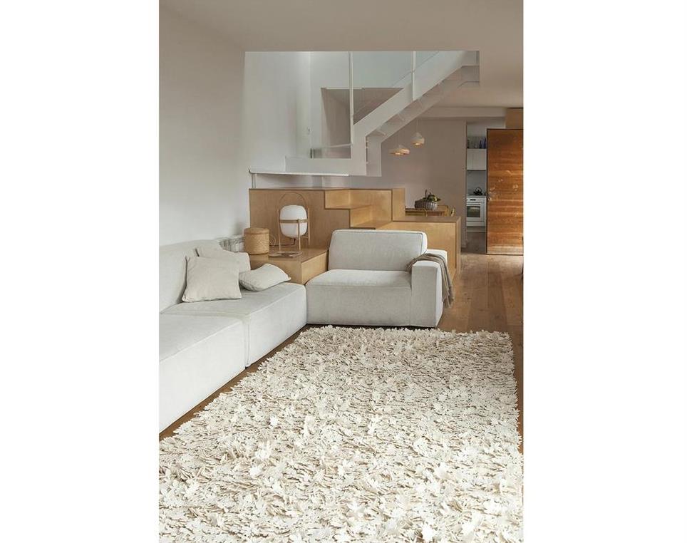 Little-Field-of-Flowers-Ivory-170x240