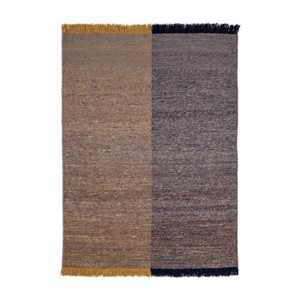 Re-Rug-2-200x300-Bicolor