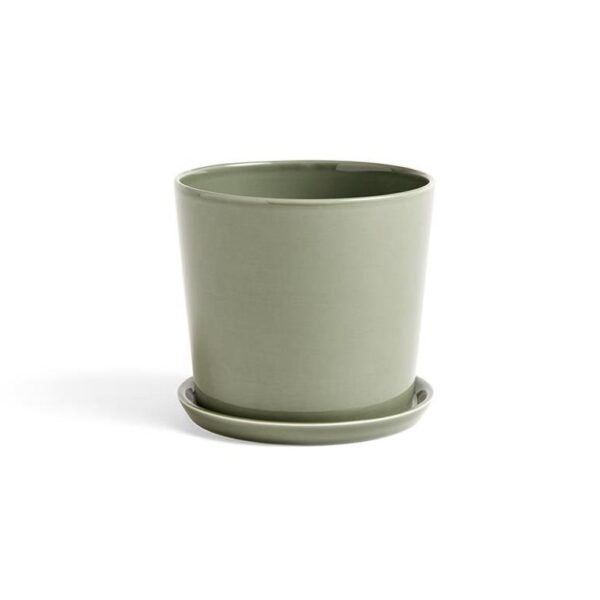 Botanical-Family-Set--Large--Dusty-Green