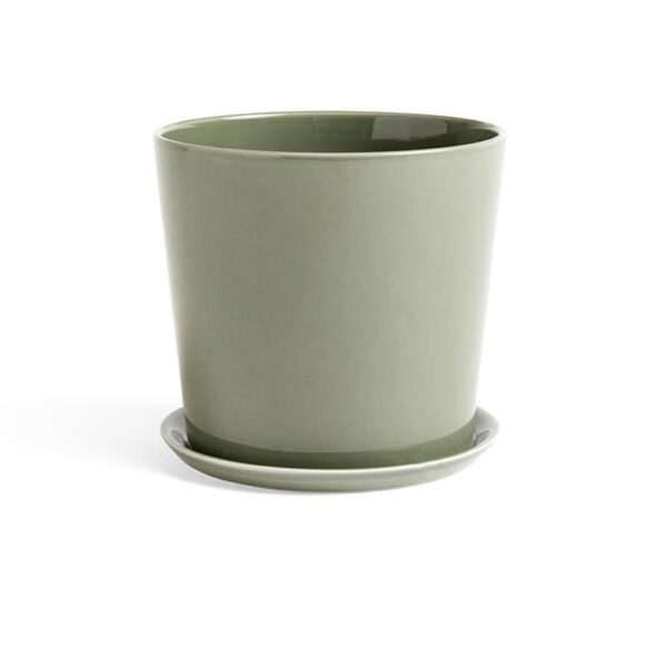 Botanical-Family-Set--X-Large--Dusty-Green