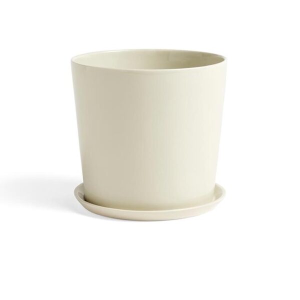 Botanical-Family-Set--X-Large--Off-White