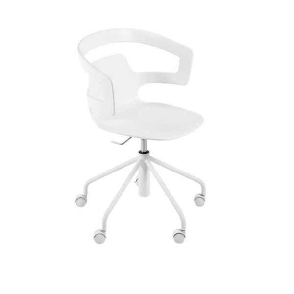 Segesta-Studio-508-White