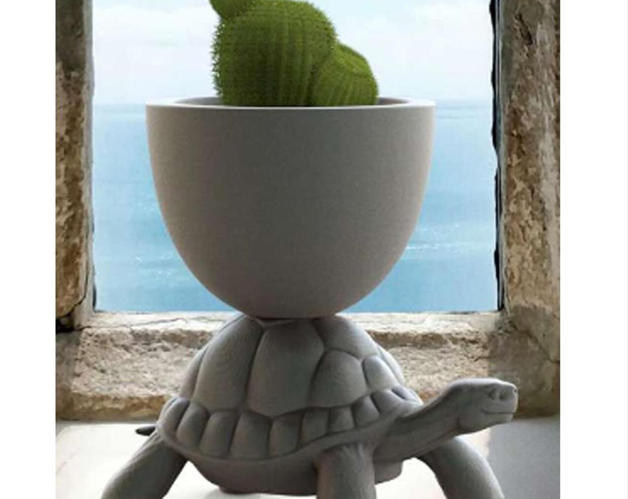 Turtle-Carry-Planter-And-Champagne-Cooler-White