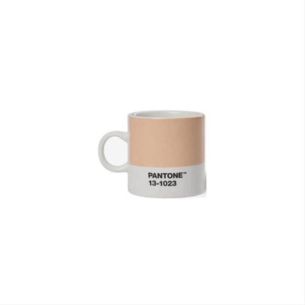 Pantone-Espresso-cup-Peach-Fuzz