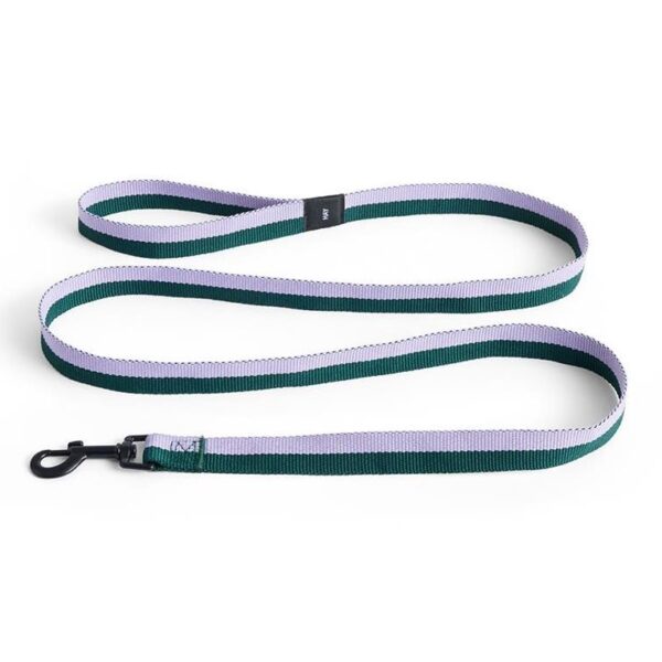 Dogs-Leash-Flat-ML-LavenderGreen