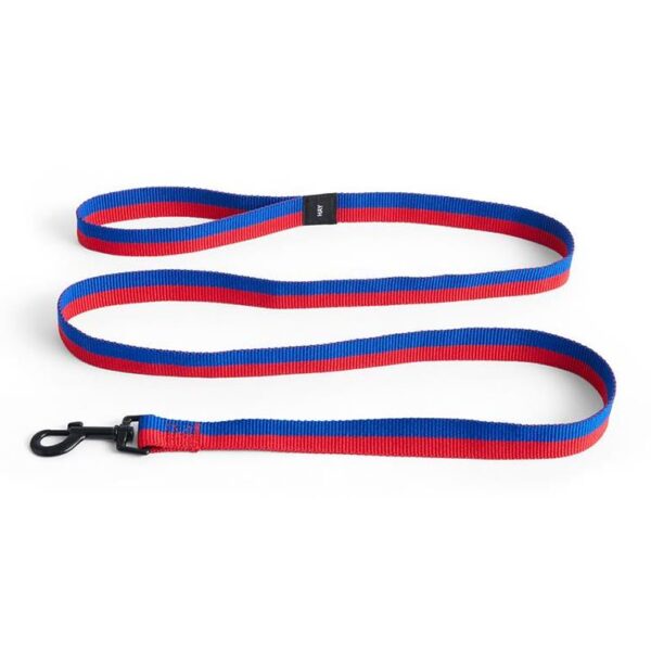 Dogs-Leash-Flat-ML-RedBlue