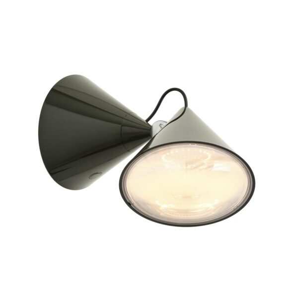 Pose Surface Light Kelp